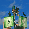 SmugMug > keywords > beacon > january-june2008 photo